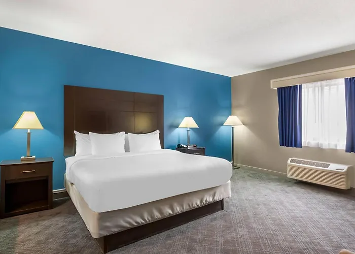 Comfort & Mundelein-vernon Hills 4* Mundelein